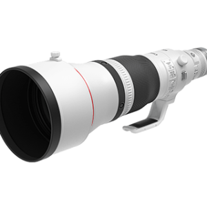 Canon RF 600mm f/4L IS USM Lens